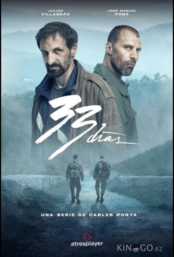 33 дня 1 3