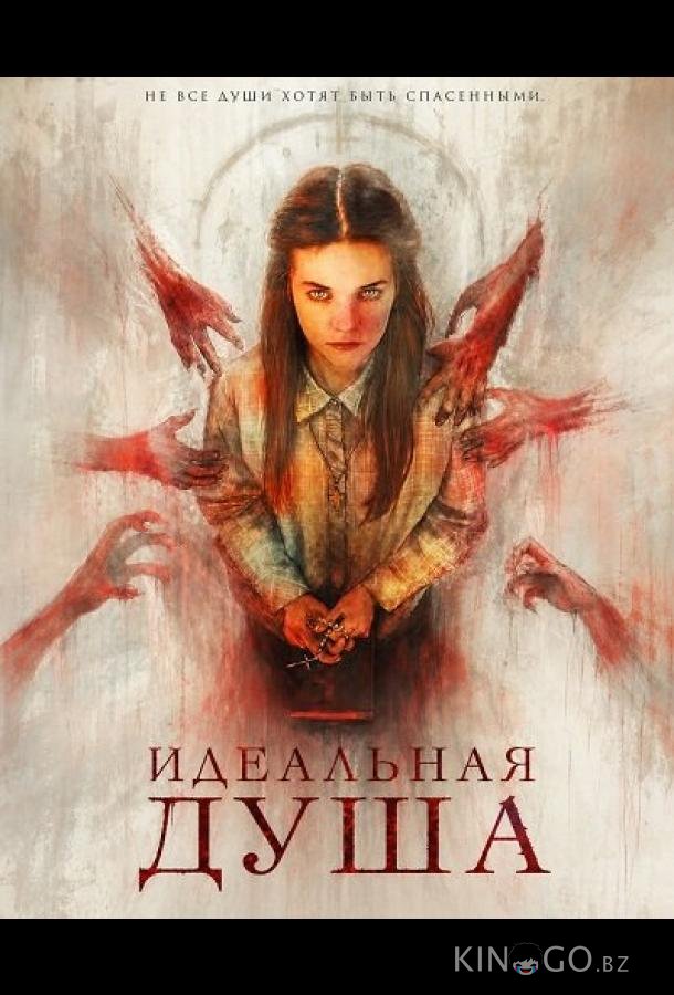 Идеальная душа 
