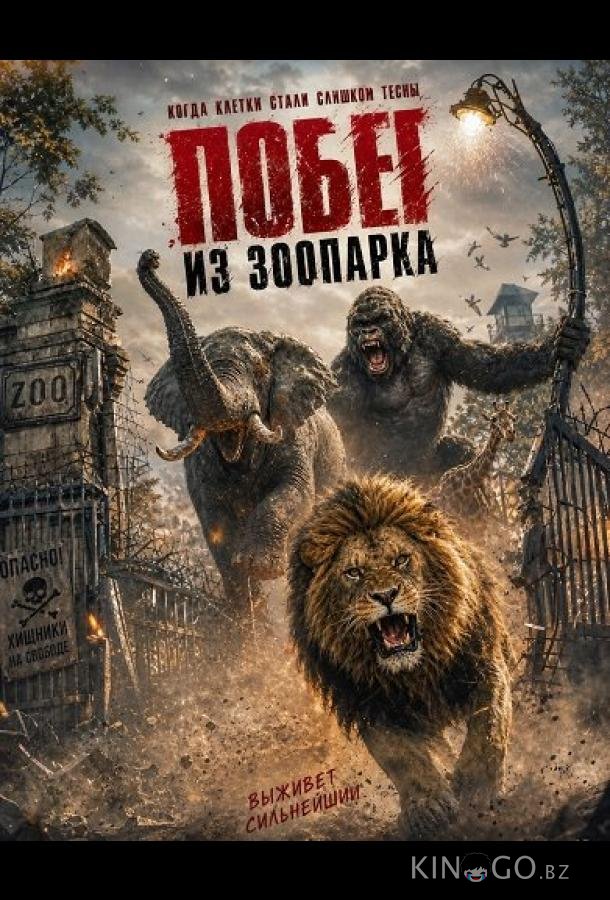 Побег из зоопарка 