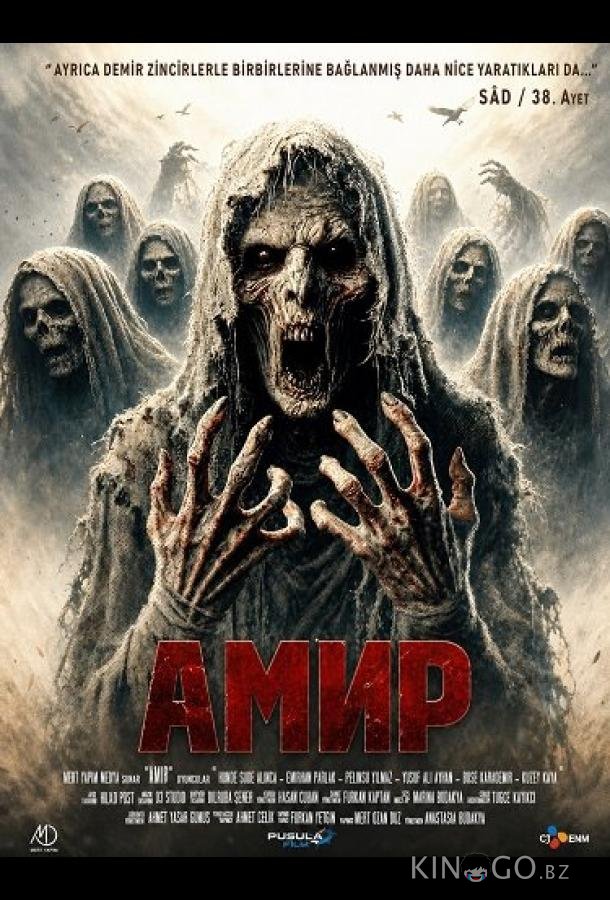 Амир 